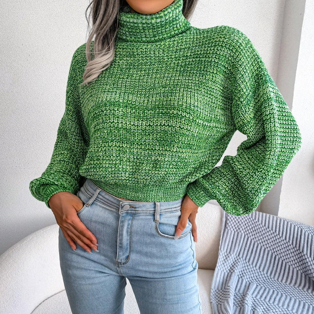 Pull en tricot à col roulé - Sanchia