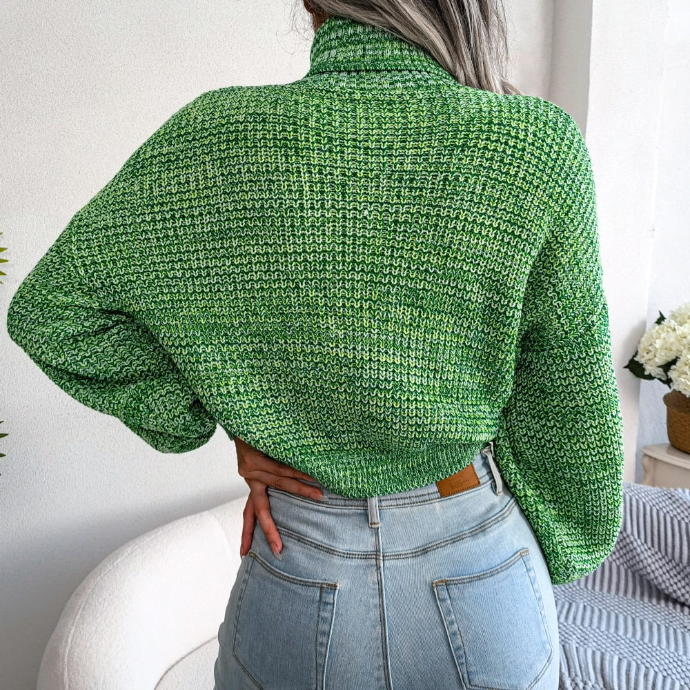 Pull en tricot à col roulé - Sanchia