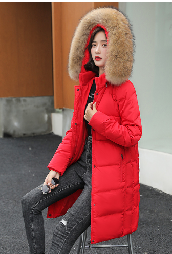 Arctic Luxe - Doudoune Élégante Longue