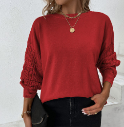 Pull à Col Rond en Tricot Torsadé à Manches Longues en Couleur Unie pour Femme