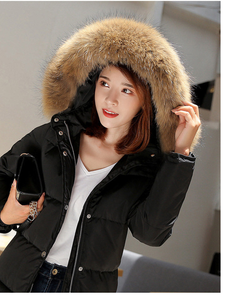 Arctic Luxe - Doudoune Élégante Longue