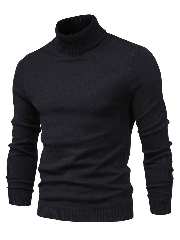 Pull col roulé d'hiver pour homme - Cohen